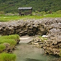 野銀冷泉