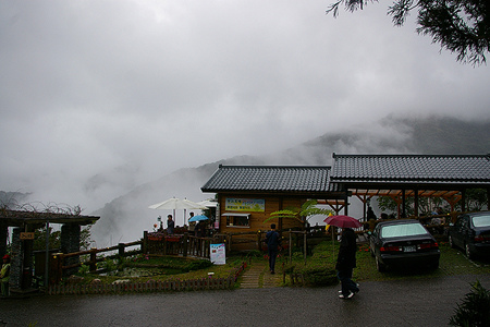 200/8.01.26針針山賞櫻