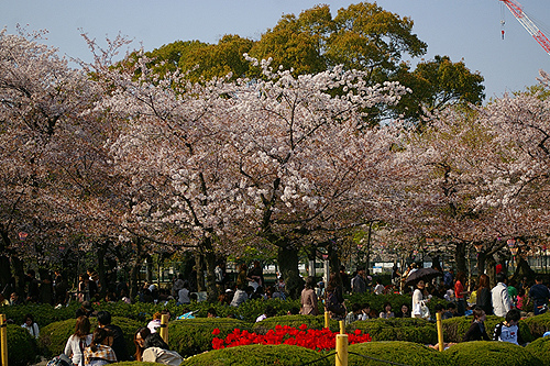 [名古屋]鶴舞公園