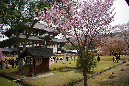 東大寺