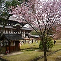 東大寺