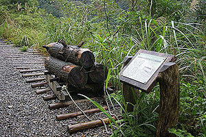 [宜蘭]林美石磐步道