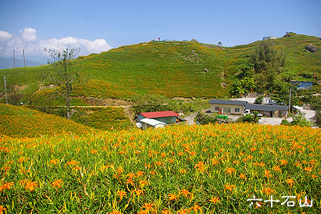 [花蓮]六十石山