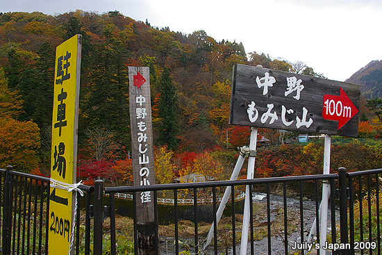 DAY2。中野紅葉山