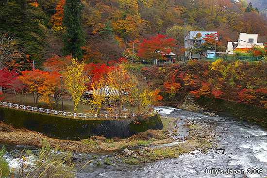 DAY2。中野紅葉山