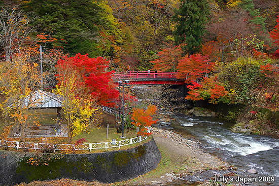 DAY2。中野紅葉山