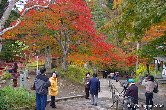 DAY2。中野紅葉山