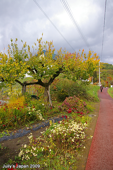 DAY2。中野紅葉山