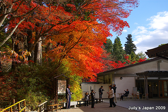 DAY4。平泉中尊寺