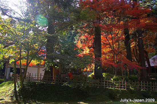 DAY4。平泉中尊寺