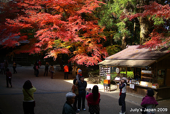 DAY4。平泉中尊寺