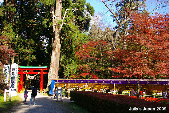 DAY4。平泉中尊寺