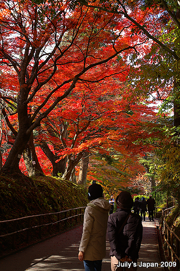 DAY4。平泉中尊寺