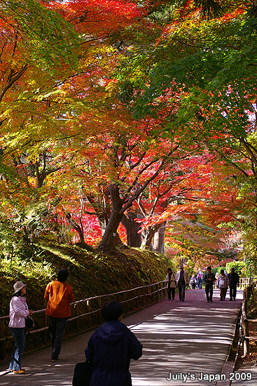 DAY4。平泉中尊寺