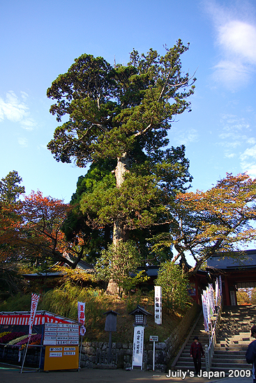 DAY5。鹽釜神社