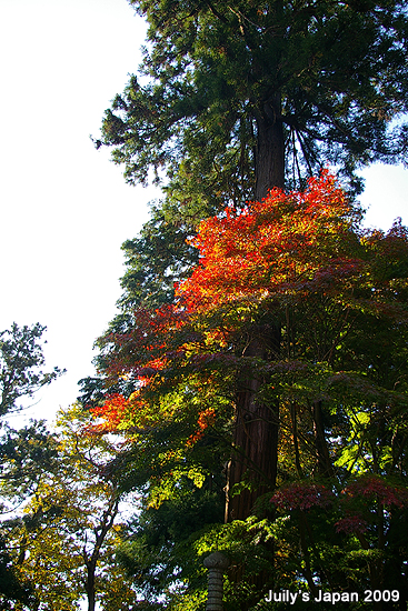 DAY5。鹽釜神社