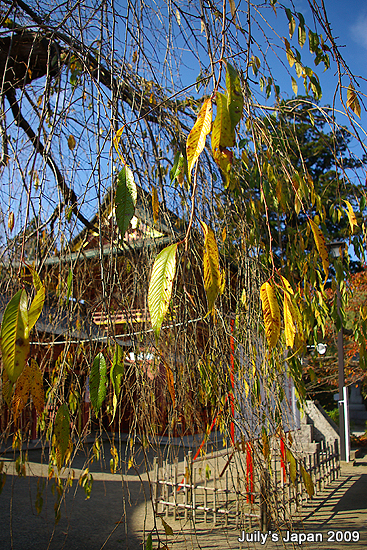 DAY5。鹽釜神社