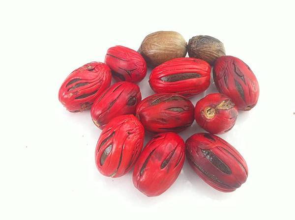 46496097_2164996047050628_3043977999964700672_n