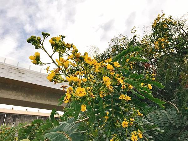 49151449_2191259724424260_7386961436901113856_n