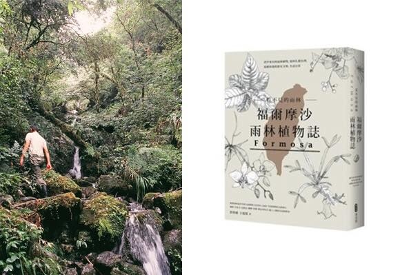 49722684_2250015481696221_9207312192062357504_n