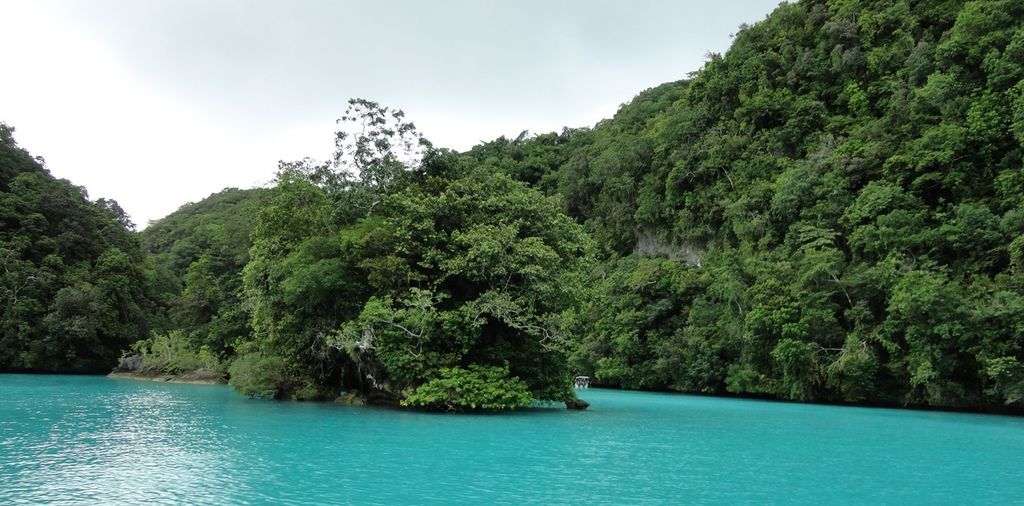 messageImage_1548124990529