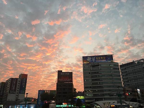 59345338_2259866230896942_6884124571604090880_n