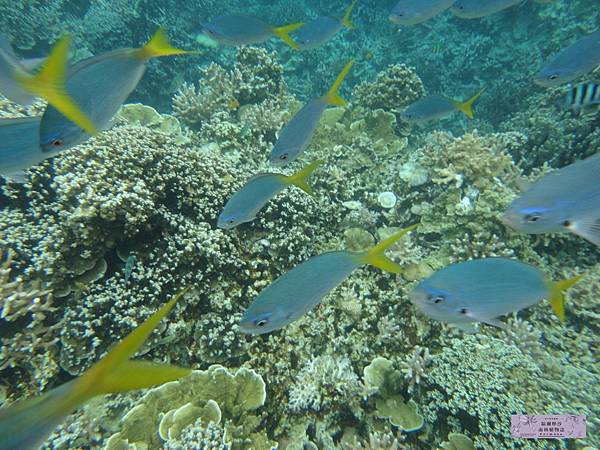 20110706-329 20110706-329