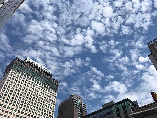 117627594_2634145593469002_7335699272260363451_n