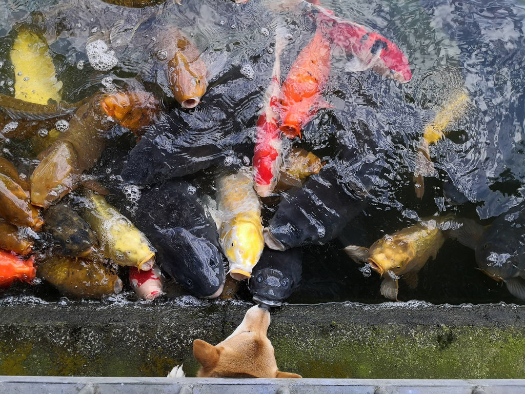 IMG_20191228_144102.jpg IMG_20191228_144102.jpg