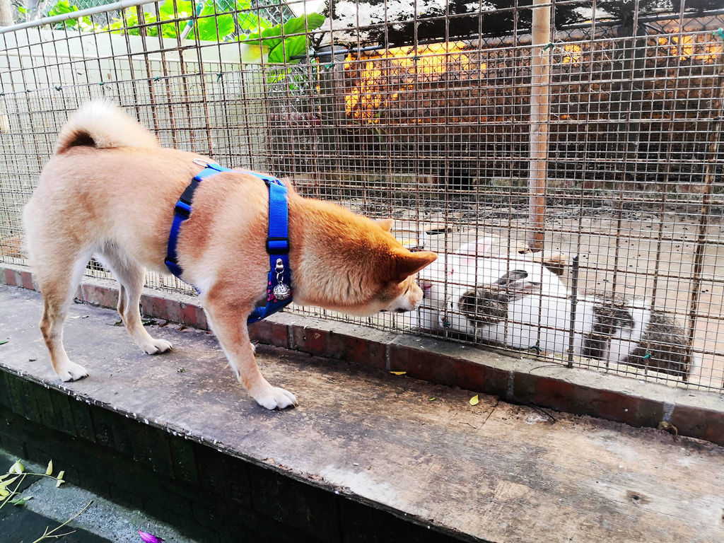 IMG_20191228_150844.jpg IMG_20191228_150844.jpg