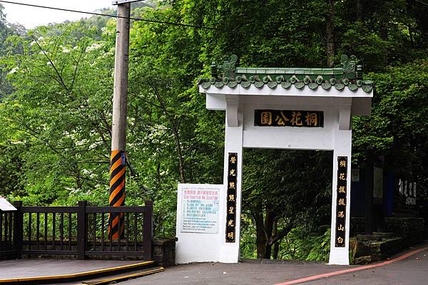 土城桐花公園 20200420 土城桐花公園 200420 0001 Jpg 小珊珊wow好吃好玩 痞客邦pixnet