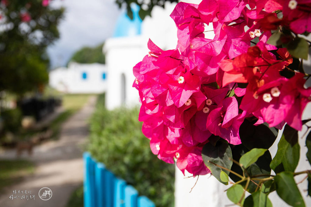 batch_IMG_4252.jpg batch_IMG_4252.jpg