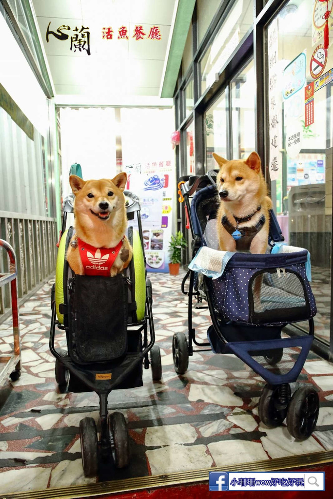 979208.jpg 979208.jpg