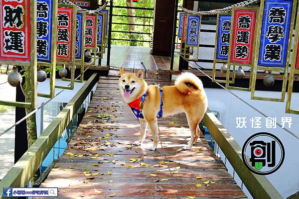 遊 南投 妖怪創界 糖狗村 秒飛日本來這裡 妖怪村另一新作 奇幻的網美拍照景點 讓毛孩一秒變網美 翰寶寶與小珊珊的旅遊美食生活手札 遊 南投 妖怪創界 糖狗村 秒飛日本來這裡 妖怪村另一新作 奇幻的網美拍照景點 讓毛孩一秒變網美 翰寶寶與小珊珊的旅遊美食生活手札