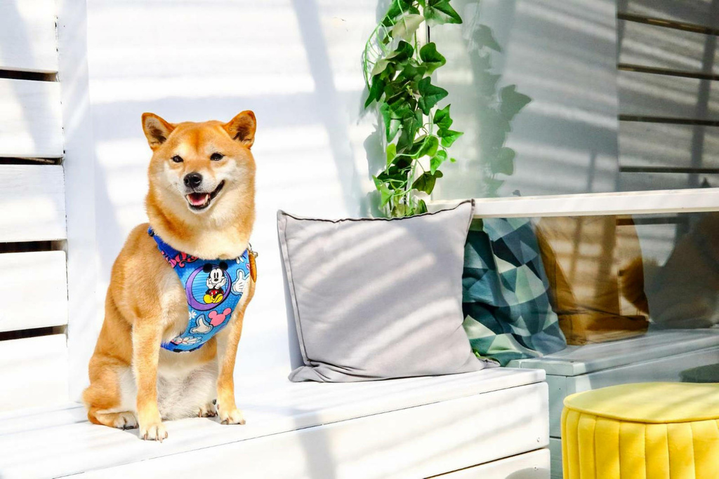 1175849.jpg 1175849.jpg