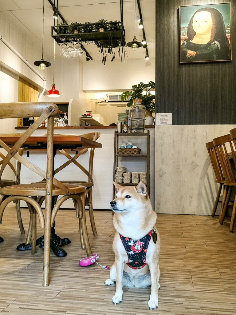 1410788.jpg 1410788.jpg