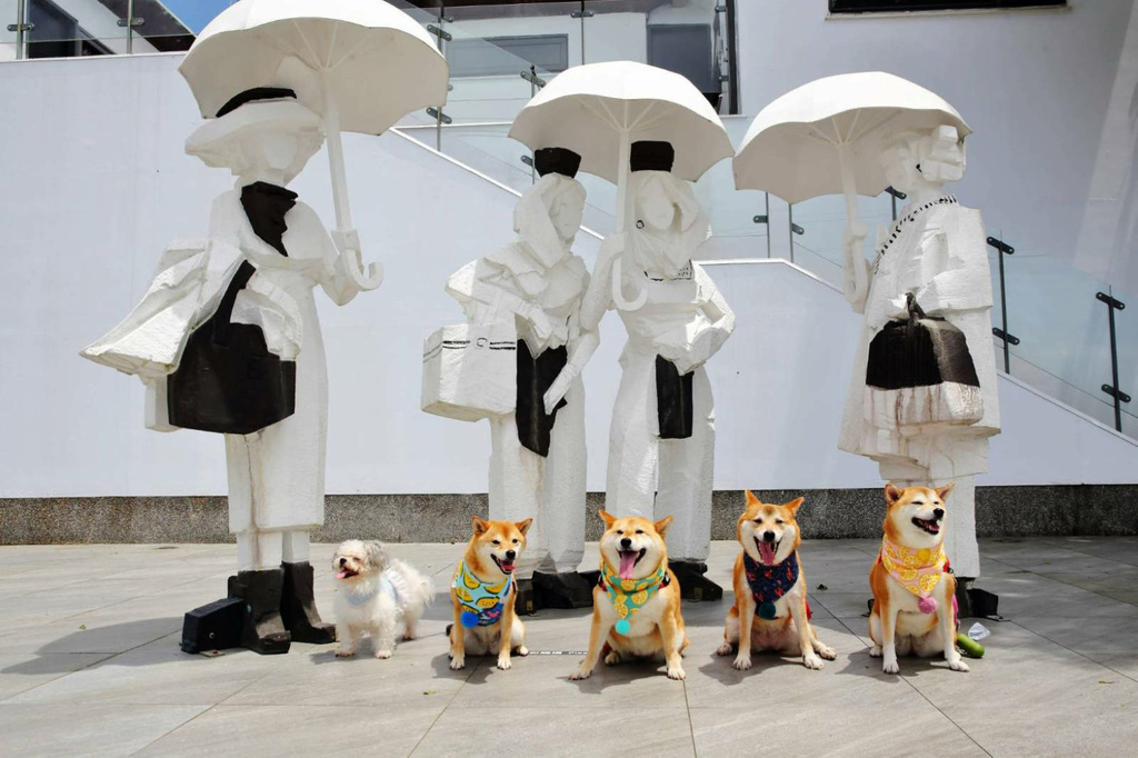 1580060拷貝.jpg 1580060拷貝.jpg