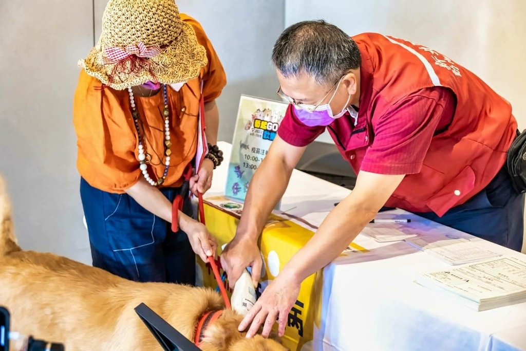 1654135587855.JPG 1654135587855.JPG