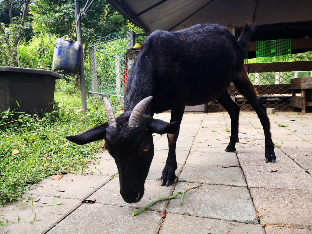 IMG_20220820_134053.jpg IMG_20220820_134053.jpg