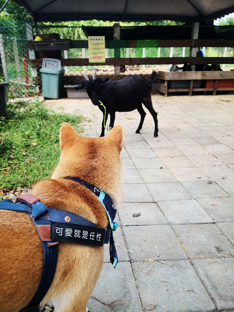 IMG_20220820_134029.jpg IMG_20220820_134029.jpg