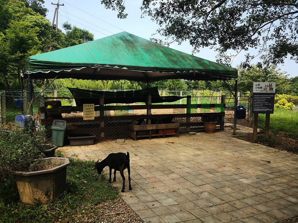 IMG_20220820_134012.jpg IMG_20220820_134012.jpg