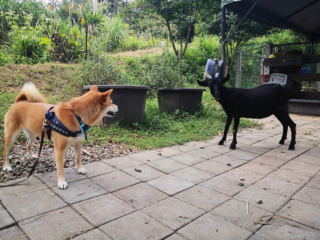 IMG_20220820_134113.jpg IMG_20220820_134113.jpg