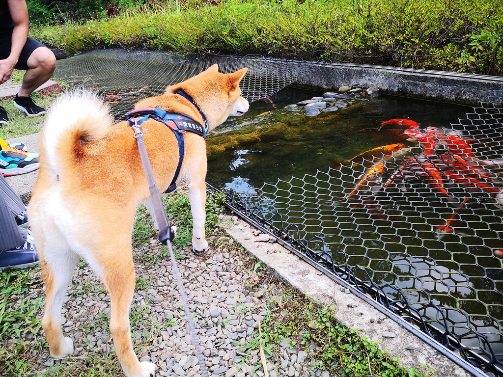 IMG_20220820_134306.jpg IMG_20220820_134306.jpg