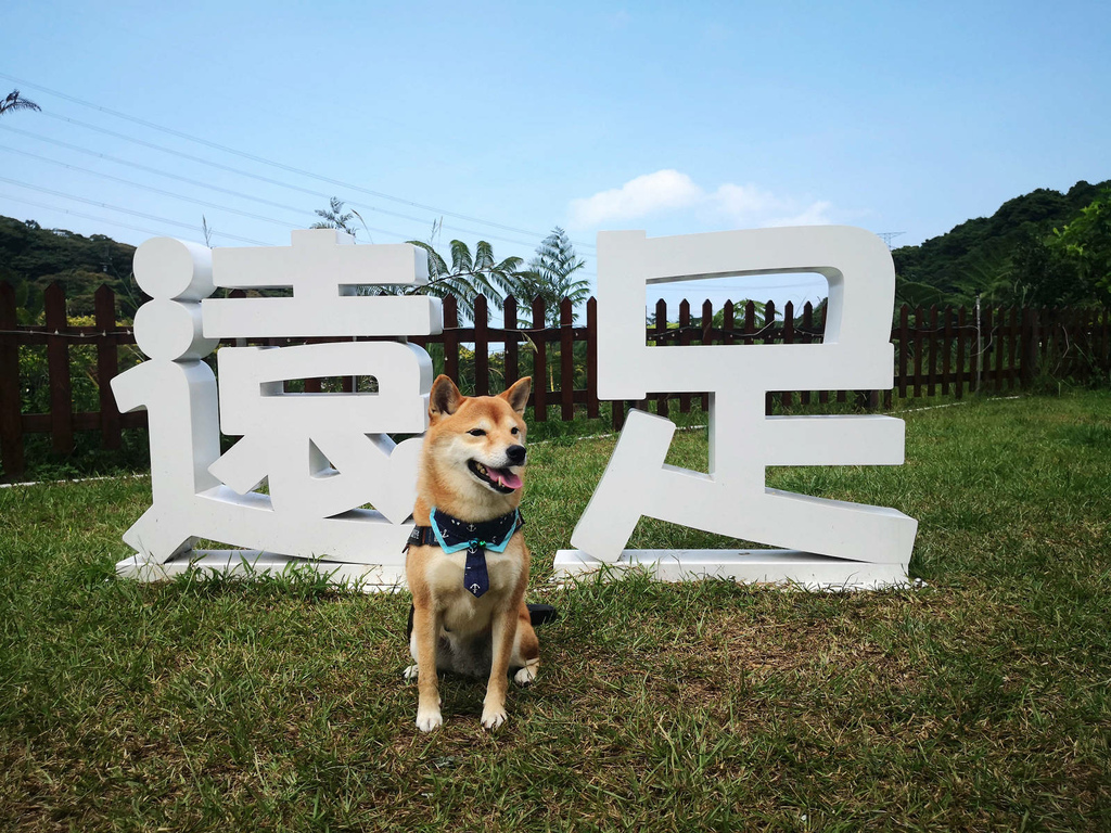 IMG_20220820_134547.jpg IMG_20220820_134547.jpg