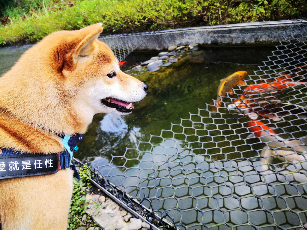 IMG_20220820_134343.jpg IMG_20220820_134343.jpg