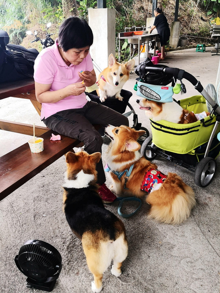 IMG_20220820_161851.jpg IMG_20220820_161851.jpg