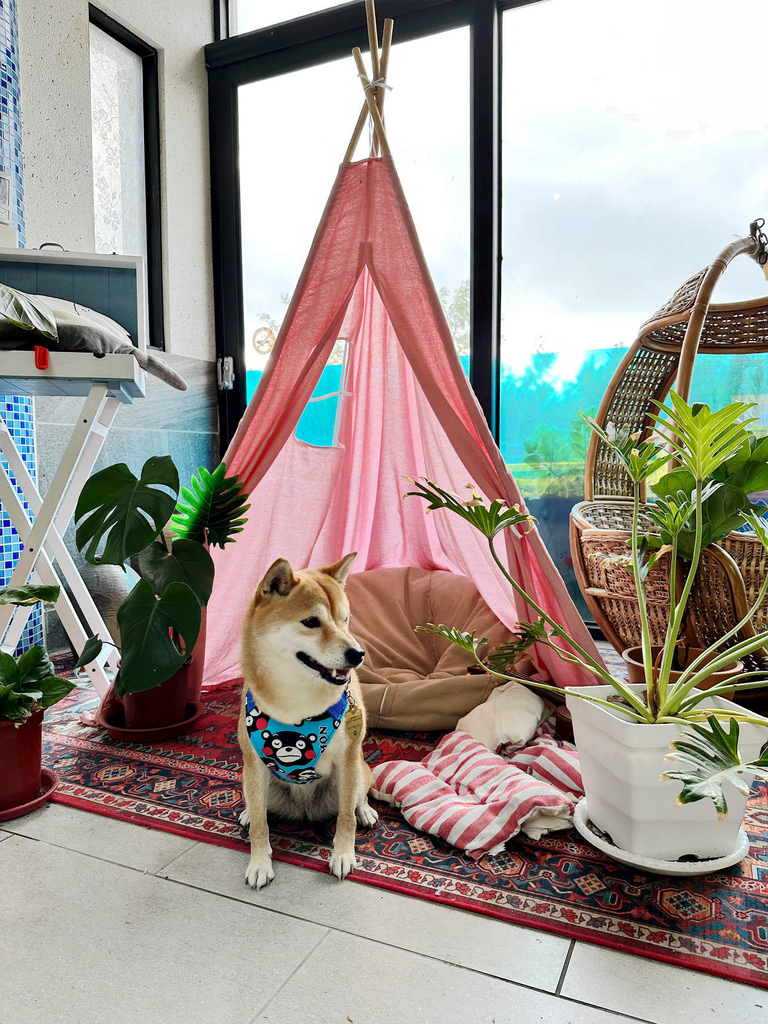 IMG_4866.JPG IMG_4866.JPG