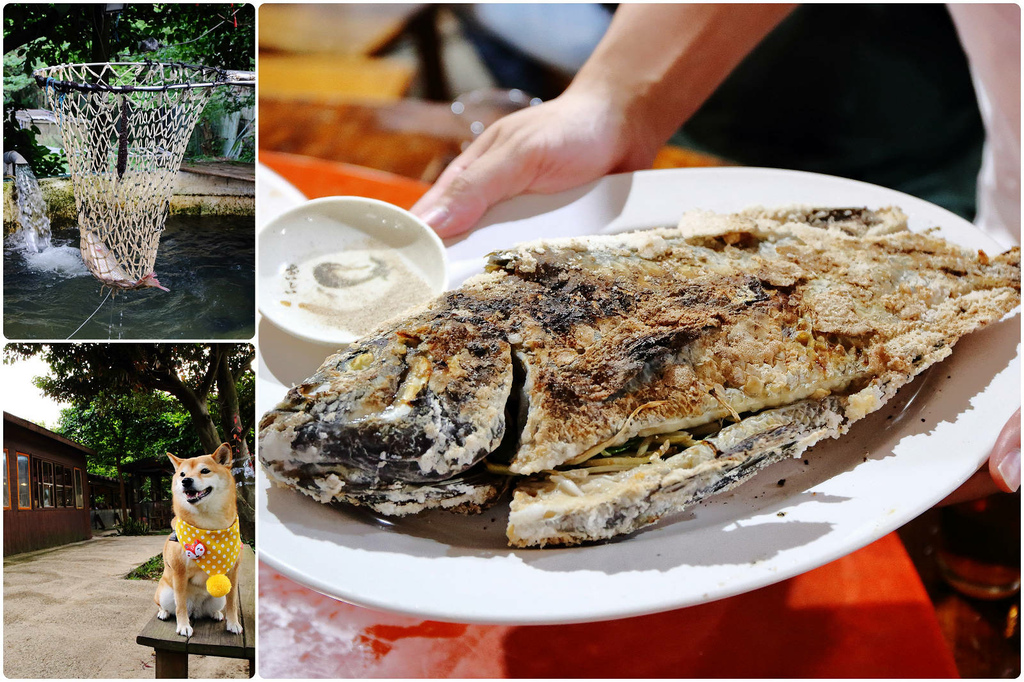 4-7休閒魚池餐廳,大園區,白斬雞,鹽烤魚,桃園美食,聚餐,活魚料理,桃園,47休閒魚池餐廳,熱炒
