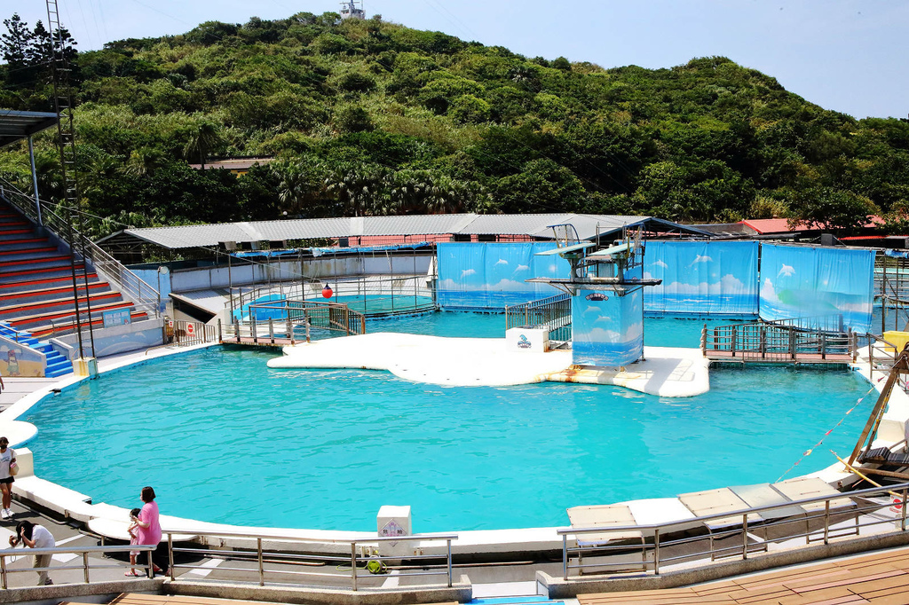 北海岸推薦親子景點，野柳海洋世界，海豚、海獅、高空跳水表演，