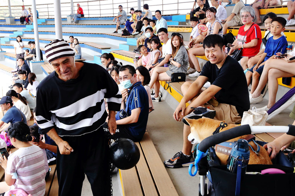 北海岸推薦親子景點，野柳海洋世界，海豚、海獅、高空跳水表演，